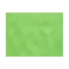 Set de table TNT 30x40cm Vert pomme