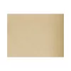 Set de table Sable Spunbond 30x40cm