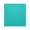 Serviette TNT Mank 55g 40x40 Aqua bleu (8E01)