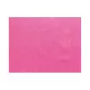 Set de table Framboise Spunbond 30x40cm