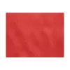 Set de table TNT 40 x 30 cm / 65g ROUGE