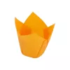 Caissette Tulipcup Orange 3cl 110x110x60 35Ø
