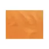 Set de table Orange Spunbond 30x40cm (8A00)